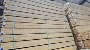 PHOTO-2025-03-17-16-45-29